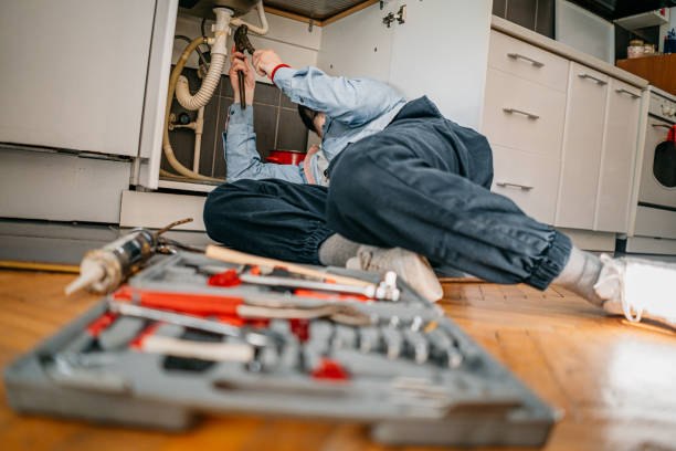 Best Clogged Drain Plumber  in Petersburg, MI