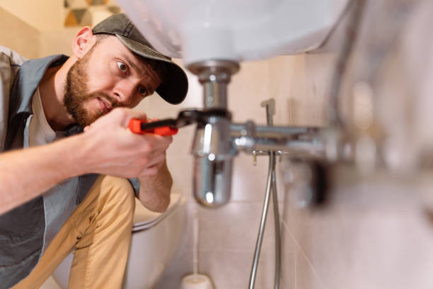 Best Best Plumbers Near Me  in Petersburg, MI
