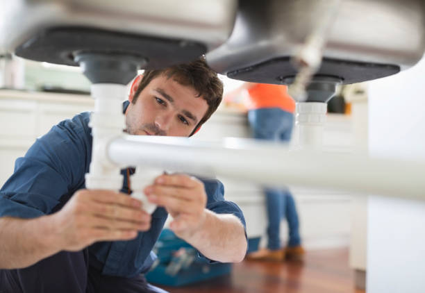 Best Residential Plumbing Services  in Petersburg, MI
