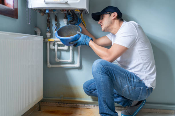 Best Emergency Plumbing Repair  in Petersburg, MI